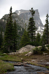 A stream, trees and mountain in the distance.