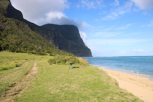 Track Leading Towards Mount Gower, Lord Howe Island, Australia.