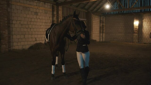 Female horse owner standing with her dark bay horse in the stable. Patting and stroking her horse. Woman kissing her horse expressing her love. Dim lightings in the stable. Horse love.