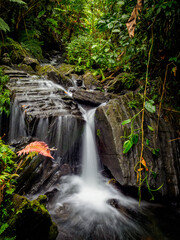 Juan Diego stream at El Yunque National Forest