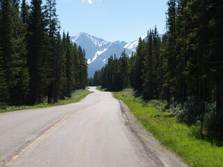 Fototapeta premium A mountain drive