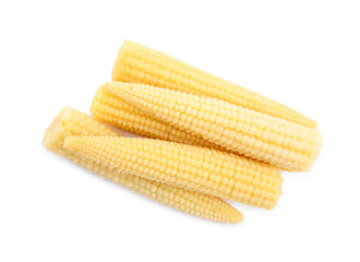 Fresh baby corn cobs on white background, top view