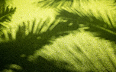 Layout shadow of colorful tropical palm leaves on green background. Summer exotic concept