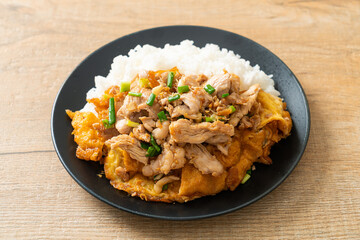 stir-fried pork with garlic and egg topped on rice