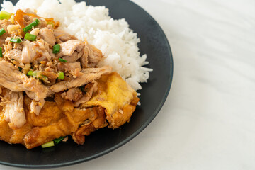 stir-fried pork with garlic and egg topped on rice