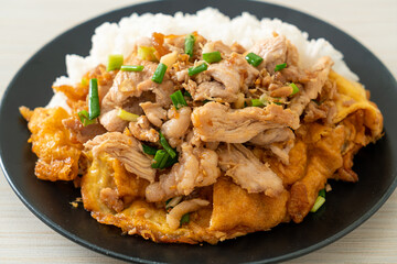stir-fried pork with garlic and egg topped on rice