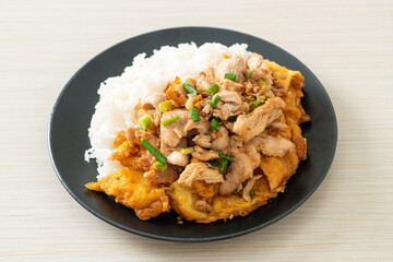 stir-fried pork with garlic and egg topped on rice