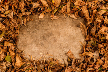 Autumn season backgrounds. Texture. Autumn leaves with copy space for text in the center. Horizontal image.