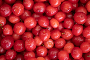 close up of a bunch of red grapes