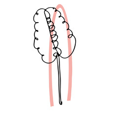 Abstract composition with leaf. One continuous line, single line drawing art, organic design