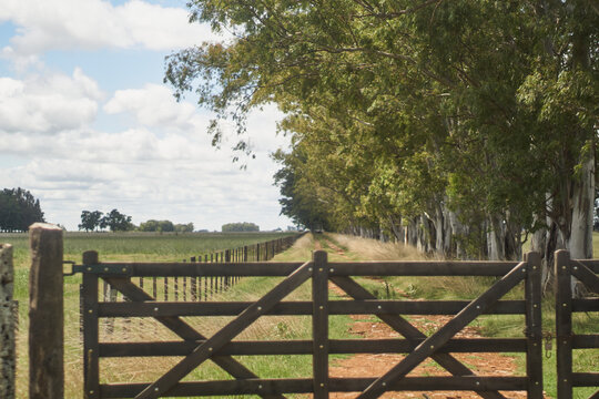 Tranquera de campo