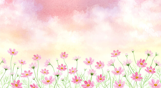 コスモス Images – Browse 89,287 Stock Photos, Vectors, and Video