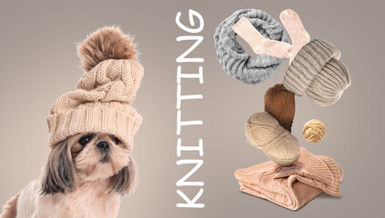 Cute dog in warm hat on white background. Concept of heating season