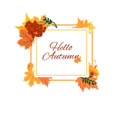 Fototapeta premium The square gold frame is decorated with beautiful autumn leaves and rowan trees. Isolated on a white background. Cartoon style. Vector illustration