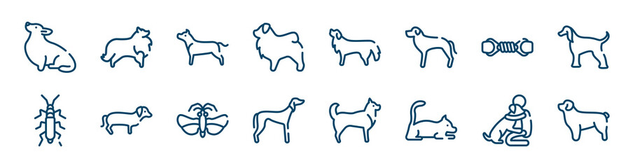 dog breeds fullbody icons set such as sheltie, tibetan mastiff, pet toy, null, null, null outline vector signs. symbol, logo illustration. linear style icons set. pixel perfect vector graphics.