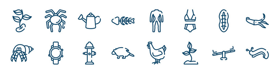 insects icons set such as null, fishbone, plankton, hermit crab, fire hydrant, seesaw outline vector signs. symbol, logo illustration. linear style icons set. pixel perfect vector graphics.
