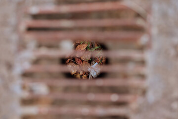 Overhead shot of litter at the bottom of a drain pipe