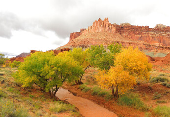  autumn along the fremont river next to the castle in capitol reef  national park, utah    