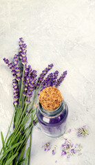 Obraz na płótnie Canvas Bottle of essential oil and lavender flowers on light gray background.