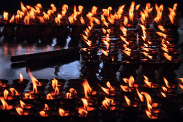 Tibetan butter lamps in a Buddhist temple 
