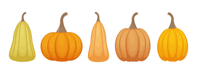 A bright autumn set with the image of pumpkins of various shapes and shades. Vegetable set. Ripe orange pumpkins, vector illustration isolated on a white background