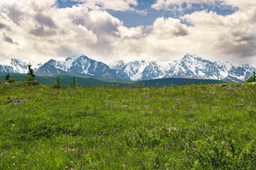 Fototapeta premium Mountain landscape and meadow.