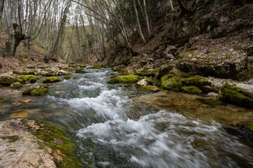 Stormy river in the forest. The mountain river flows among the boulders. Strong current.