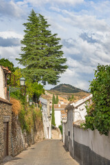 Small narrow street with white houses and abundant greenery in the old European city. Granada, Andalusia, Spain. - 443954100