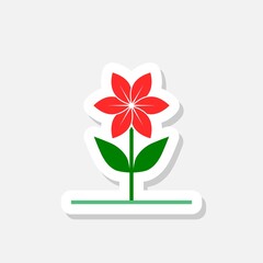 Flower icon isolated on gray background