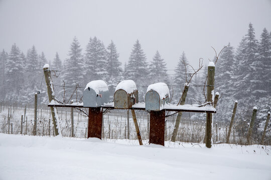 Rural roadside mailboxes blanketed by snow with field and forest in background. - Powered by Adobe