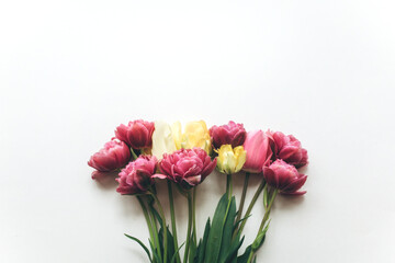 Bouquet of pink tulips on a white background. Festive background, flat lay