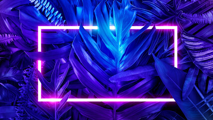 Colorful nature concept, Neon colorful of tropical leaves with neon frame, Leaf of plant, Creativity and design, Blue tone. © ipopba