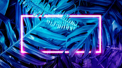 Colorful nature concept, Neon colorful of tropical leaves with neon frame, Leaf of plant, Creativity and design, Blue tone. © ipopba