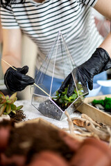 Creative florist woman transplanting succulent into glass florarium with ground and stones