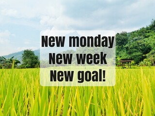 Phrase New Monday new week new goal against paddy field landscape background. Inspirational and...