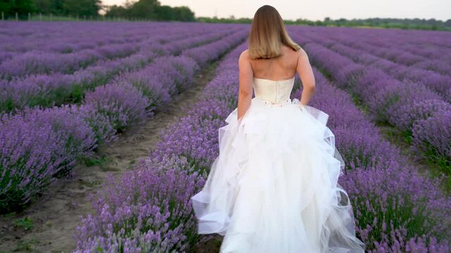 rear view of a young beautiful woman walking along a lavender field dressed in a beautiful wedding dress.