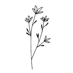 Botanical linear leaf set. Abstract minimalist leaves collection, creative herbal art. Hand drawn wedding herb, plant and monogram with elegant leaves for invitation save the date. Vector illustration