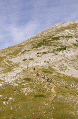 Randonneurs dans un sentier de montagne marchant vers un sommet.