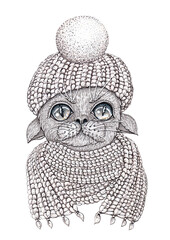 Hand drawn pug dog in knitted hat and scarf