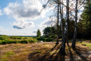 Upalne lato w Dolinie Górnej Narwi, Podlasie, Polska