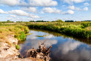 Upalne lato w Dolinie Górnej Narwi, Podlasie, Polska