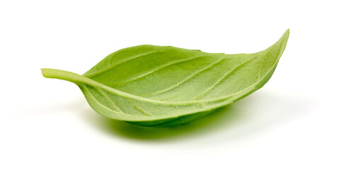 Basil leaf, isolated on white background. High resolution image.
