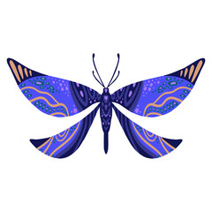 decorative vector butterfly