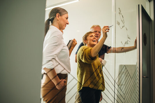 Businesswoman explaining project to her colleagues