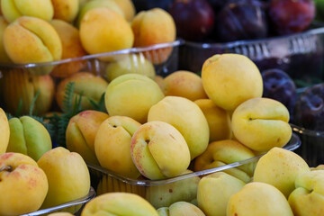 assortment of fruits on the market counter.