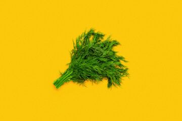 Bunch of green parsley on yellow background