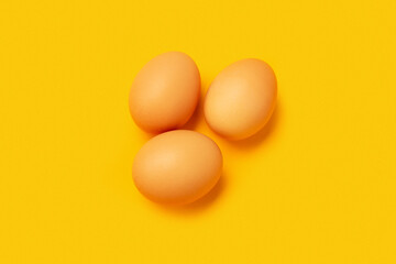 Four chicken eggs on a colorfull background