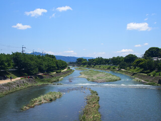 京都 新緑の季節の鴨川の景色