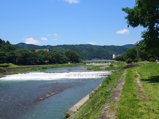 京都 新緑の季節の鴨川の景色
