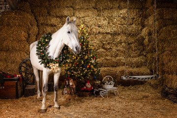 Christmas decorations on the stables. A horse with a wreath around his neck. Christmas tree with...